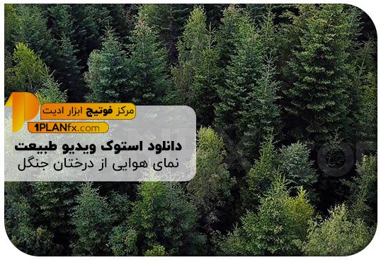 پیش نمایش استوک ویدیو طبیعت نمای هوایی از درختان جنگل